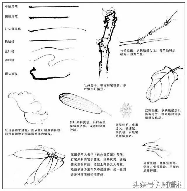 我怎样画工笔牡丹，我怎样画工笔牡丹视频（珍藏版~这篇国画工笔牡丹教程超级详细）