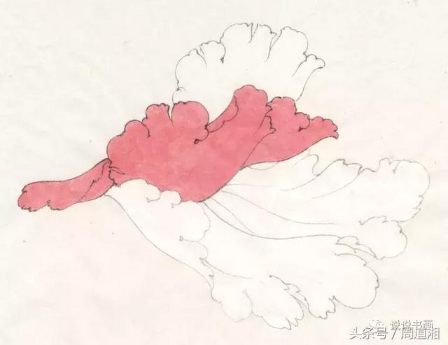 我怎样画工笔牡丹，我怎样画工笔牡丹视频（珍藏版~这篇国画工笔牡丹教程超级详细）