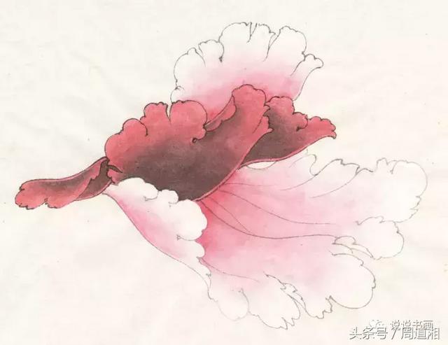我怎样画工笔牡丹，我怎样画工笔牡丹视频（珍藏版~这篇国画工笔牡丹教程超级详细）