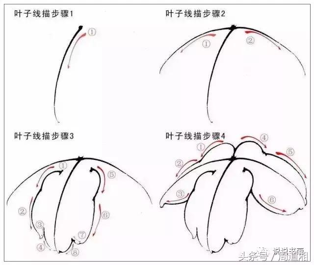 我怎样画工笔牡丹，我怎样画工笔牡丹视频（珍藏版~这篇国画工笔牡丹教程超级详细）