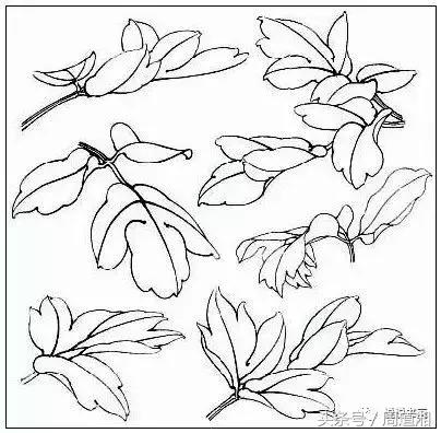 我怎样画工笔牡丹，我怎样画工笔牡丹视频（珍藏版~这篇国画工笔牡丹教程超级详细）