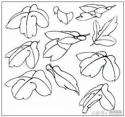 我怎样画工笔牡丹，我怎样画工笔牡丹视频（珍藏版~这篇国画工笔牡丹教程超级详细）