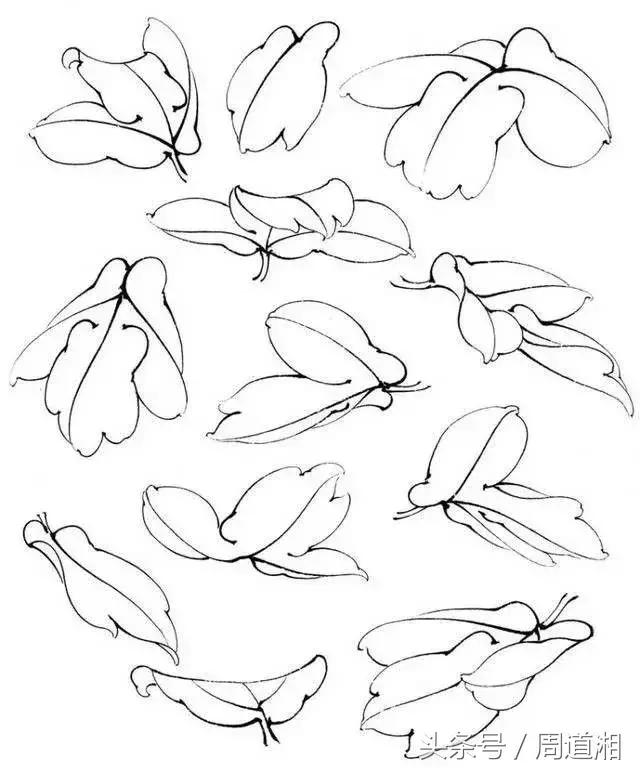 我怎样画工笔牡丹，我怎样画工笔牡丹视频（珍藏版~这篇国画工笔牡丹教程超级详细）