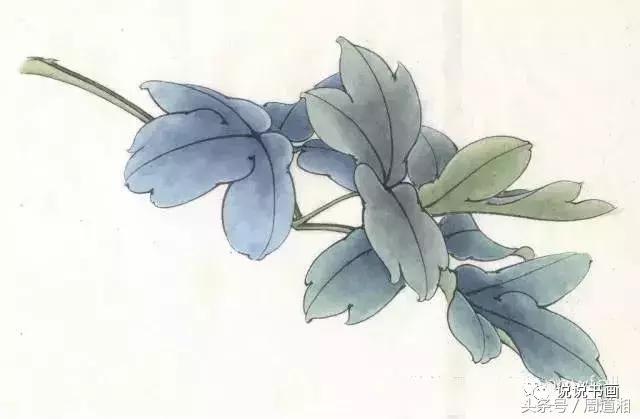 我怎样画工笔牡丹，我怎样画工笔牡丹视频（珍藏版~这篇国画工笔牡丹教程超级详细）