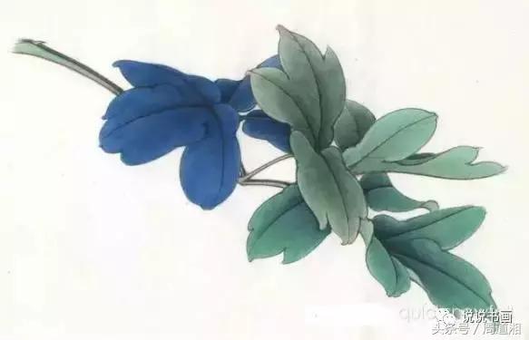 我怎样画工笔牡丹，我怎样画工笔牡丹视频（珍藏版~这篇国画工笔牡丹教程超级详细）