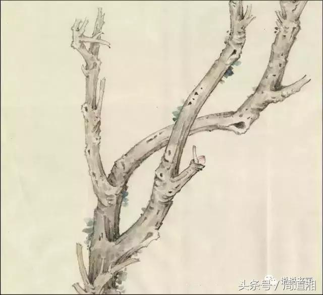 我怎样画工笔牡丹，我怎样画工笔牡丹视频（珍藏版~这篇国画工笔牡丹教程超级详细）