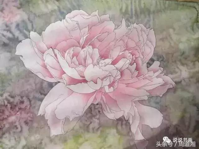 我怎样画工笔牡丹，我怎样画工笔牡丹视频（珍藏版~这篇国画工笔牡丹教程超级详细）