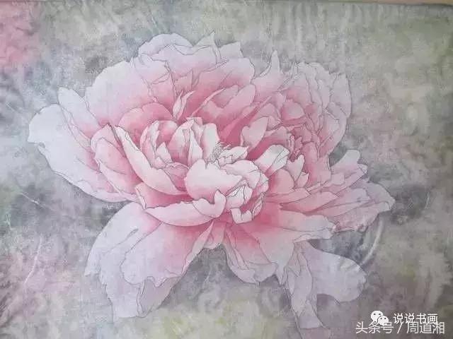 我怎样画工笔牡丹，我怎样画工笔牡丹视频（珍藏版~这篇国画工笔牡丹教程超级详细）