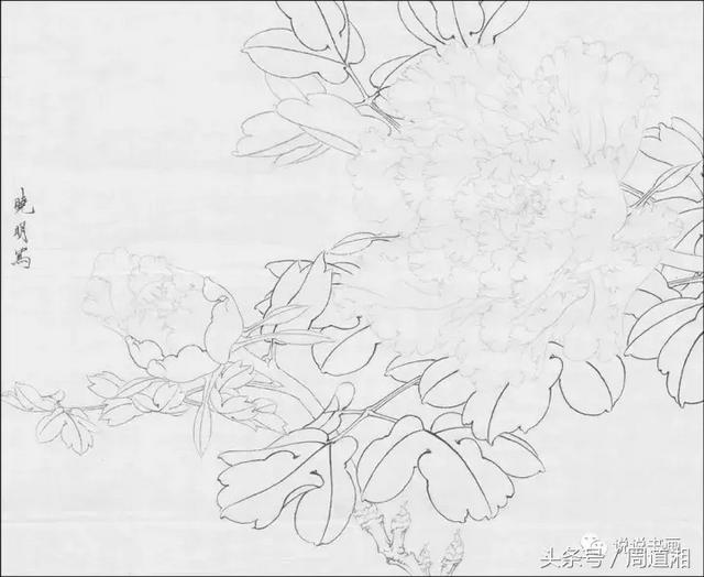 我怎样画工笔牡丹，我怎样画工笔牡丹视频（珍藏版~这篇国画工笔牡丹教程超级详细）