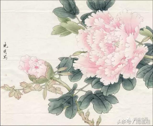 我怎样画工笔牡丹，我怎样画工笔牡丹视频（珍藏版~这篇国画工笔牡丹教程超级详细）