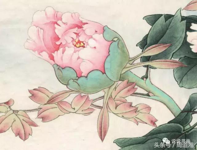 我怎样画工笔牡丹，我怎样画工笔牡丹视频（珍藏版~这篇国画工笔牡丹教程超级详细）