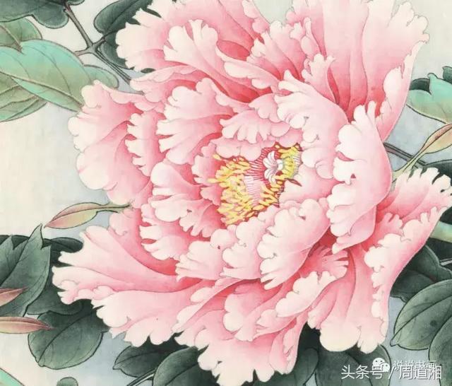 我怎样画工笔牡丹，我怎样画工笔牡丹视频（珍藏版~这篇国画工笔牡丹教程超级详细）