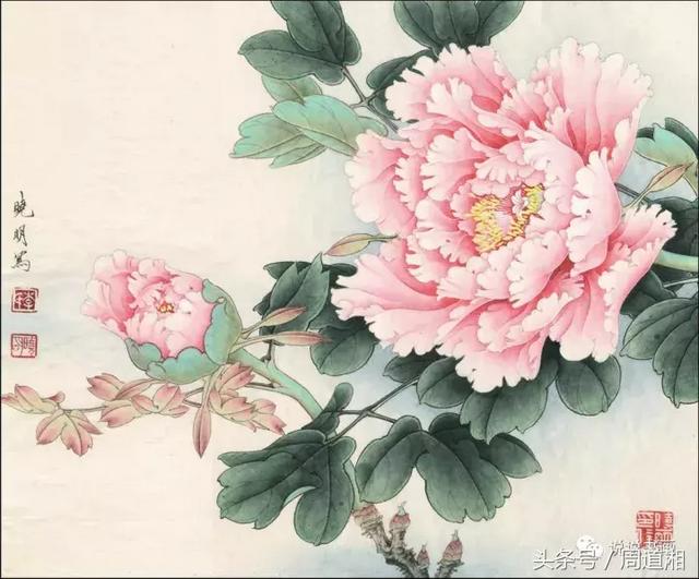 我怎样画工笔牡丹，我怎样画工笔牡丹视频（珍藏版~这篇国画工笔牡丹教程超级详细）