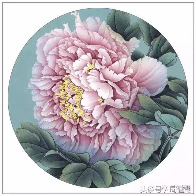 我怎样画工笔牡丹，我怎样画工笔牡丹视频（珍藏版~这篇国画工笔牡丹教程超级详细）