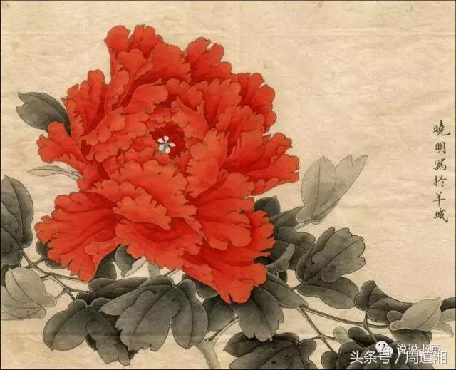 我怎样画工笔牡丹，我怎样画工笔牡丹视频（珍藏版~这篇国画工笔牡丹教程超级详细）