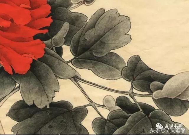 我怎样画工笔牡丹，我怎样画工笔牡丹视频（珍藏版~这篇国画工笔牡丹教程超级详细）