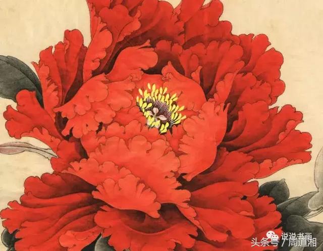 我怎样画工笔牡丹，我怎样画工笔牡丹视频（珍藏版~这篇国画工笔牡丹教程超级详细）