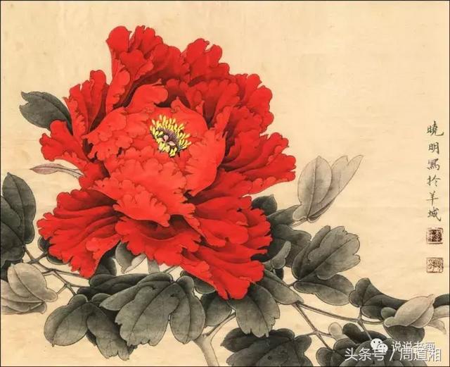 我怎样画工笔牡丹，我怎样画工笔牡丹视频（珍藏版~这篇国画工笔牡丹教程超级详细）