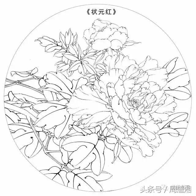 我怎样画工笔牡丹，我怎样画工笔牡丹视频（珍藏版~这篇国画工笔牡丹教程超级详细）