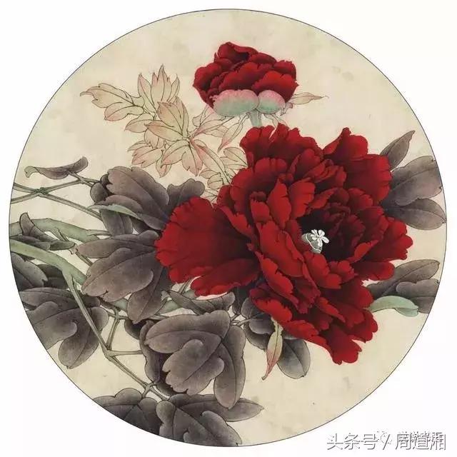 我怎样画工笔牡丹，我怎样画工笔牡丹视频（珍藏版~这篇国画工笔牡丹教程超级详细）