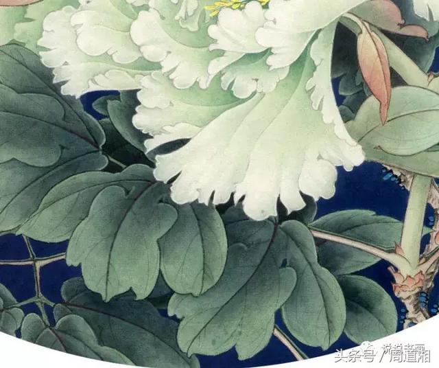 我怎样画工笔牡丹，我怎样画工笔牡丹视频（珍藏版~这篇国画工笔牡丹教程超级详细）