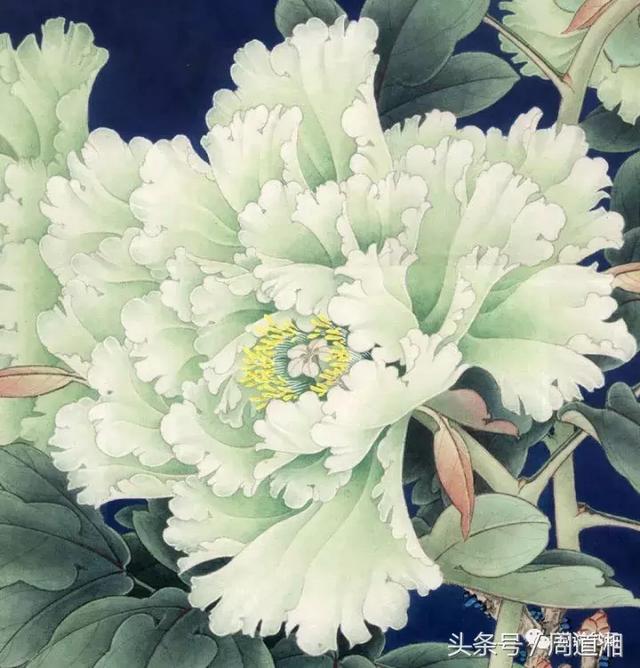 我怎样画工笔牡丹，我怎样画工笔牡丹视频（珍藏版~这篇国画工笔牡丹教程超级详细）