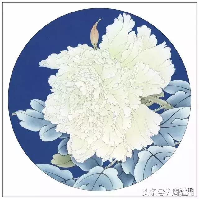 我怎样画工笔牡丹，我怎样画工笔牡丹视频（珍藏版~这篇国画工笔牡丹教程超级详细）