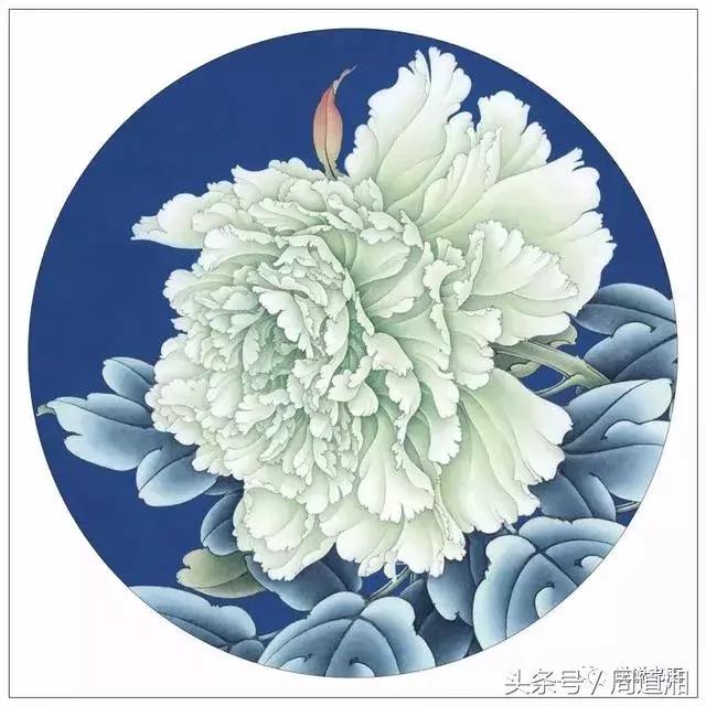 我怎样画工笔牡丹，我怎样画工笔牡丹视频（珍藏版~这篇国画工笔牡丹教程超级详细）