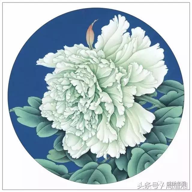 我怎样画工笔牡丹，我怎样画工笔牡丹视频（珍藏版~这篇国画工笔牡丹教程超级详细）