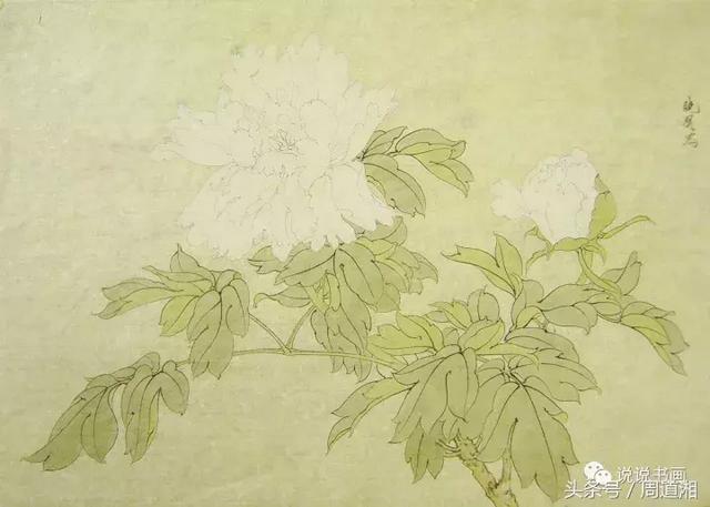 我怎样画工笔牡丹，我怎样画工笔牡丹视频（珍藏版~这篇国画工笔牡丹教程超级详细）