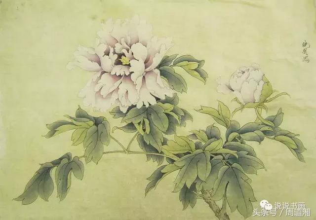 我怎样画工笔牡丹，我怎样画工笔牡丹视频（珍藏版~这篇国画工笔牡丹教程超级详细）