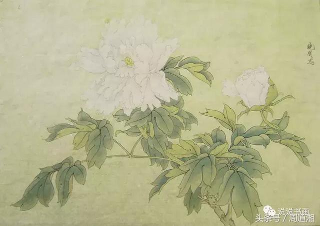 我怎样画工笔牡丹，我怎样画工笔牡丹视频（珍藏版~这篇国画工笔牡丹教程超级详细）