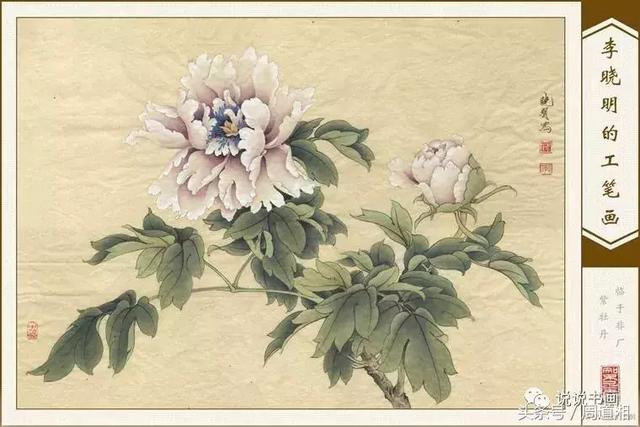 我怎样画工笔牡丹，我怎样画工笔牡丹视频（珍藏版~这篇国画工笔牡丹教程超级详细）