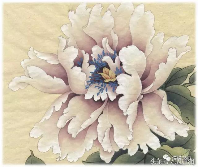 我怎样画工笔牡丹，我怎样画工笔牡丹视频（珍藏版~这篇国画工笔牡丹教程超级详细）