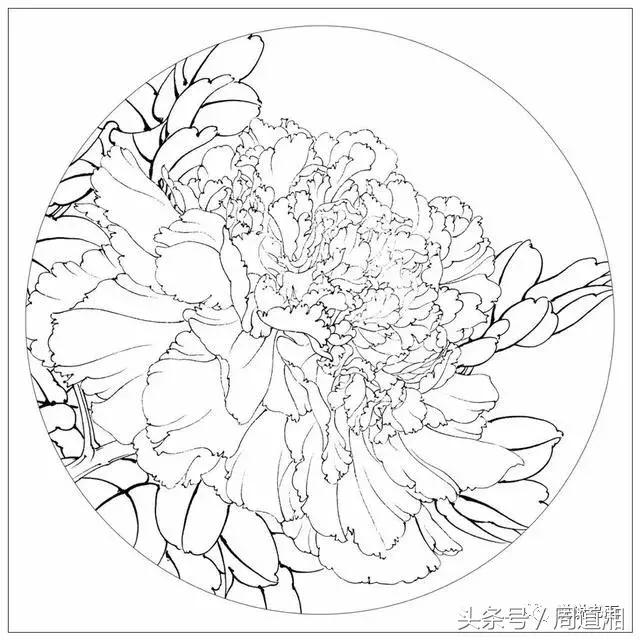 我怎样画工笔牡丹，我怎样画工笔牡丹视频（珍藏版~这篇国画工笔牡丹教程超级详细）