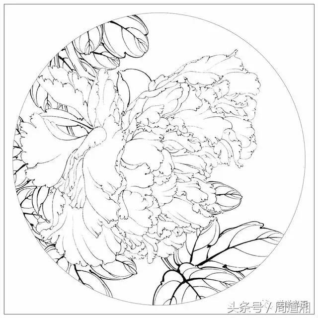 我怎样画工笔牡丹，我怎样画工笔牡丹视频（珍藏版~这篇国画工笔牡丹教程超级详细）