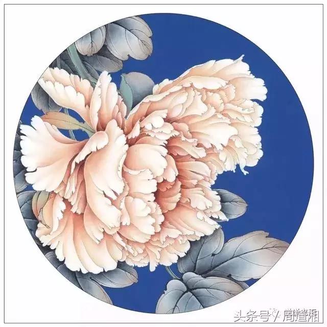 我怎样画工笔牡丹，我怎样画工笔牡丹视频（珍藏版~这篇国画工笔牡丹教程超级详细）