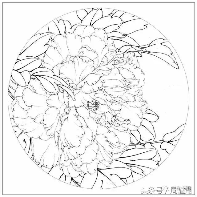 我怎样画工笔牡丹，我怎样画工笔牡丹视频（珍藏版~这篇国画工笔牡丹教程超级详细）