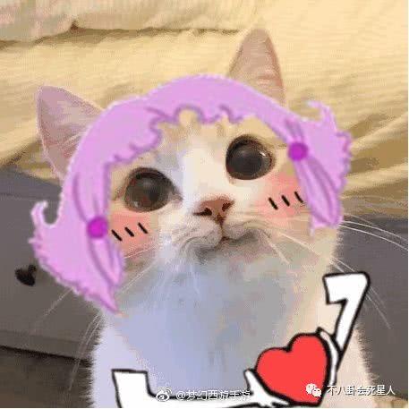 流星花园大结局，流星花园大结局是什么（道明寺求婚地点遭嫌弃）
