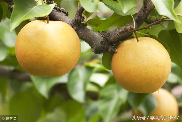 二年级语文字词专项汇总，小学语文考试必考