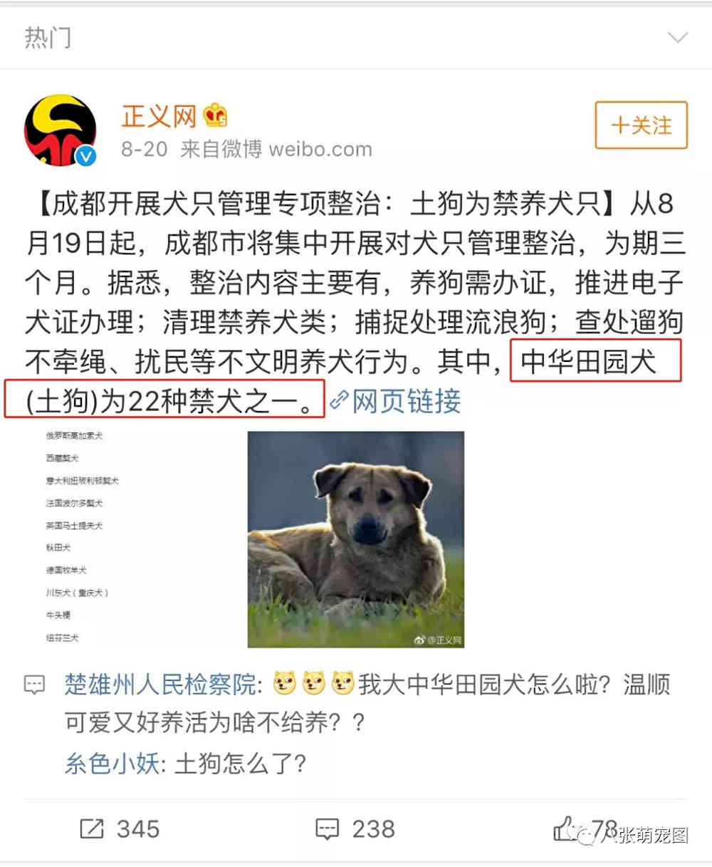 中国10大禁犬，中国十大禁犬 禁止（为什么我们不一样）