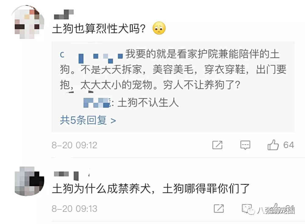 中国10大禁犬，中国十大禁犬 禁止（为什么我们不一样）