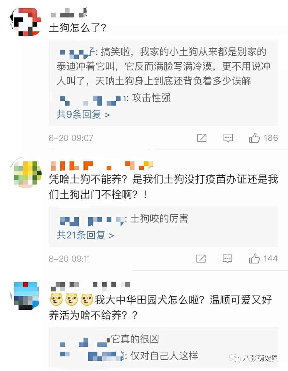 中国10大禁犬，中国十大禁犬 禁止（为什么我们不一样）