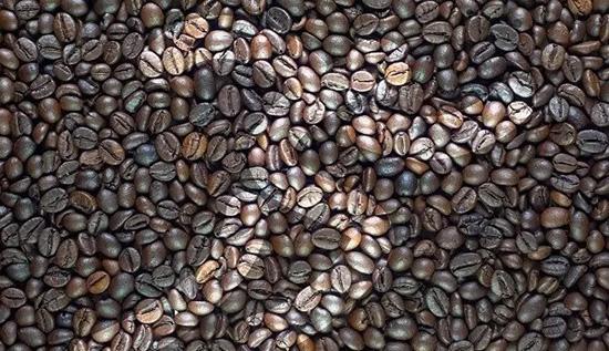 跑步机可以减肥吗，每天跑步机上快走40分钟能减肥吗（涨知识丨跑步机减肥效果不佳）