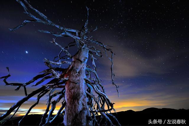 造化钟神秀原文，造化钟神秀的造化什么意思（造化钟神秀，天工泣鬼神）