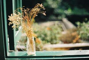 自助者天助之什么意思，自助者天助之是谁说的（自助者，天助之）