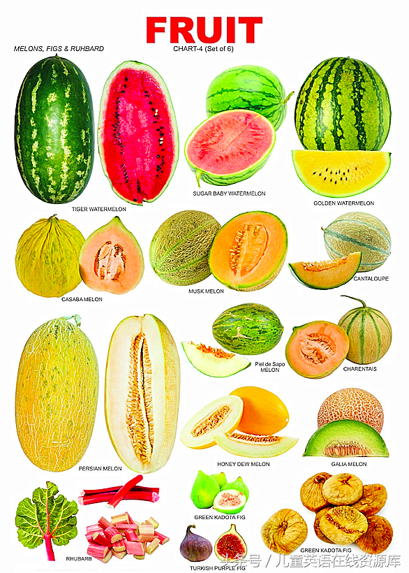 水果英文名字大全，2018年台风名字大全（史上最全水果英文名称汇总及配图）