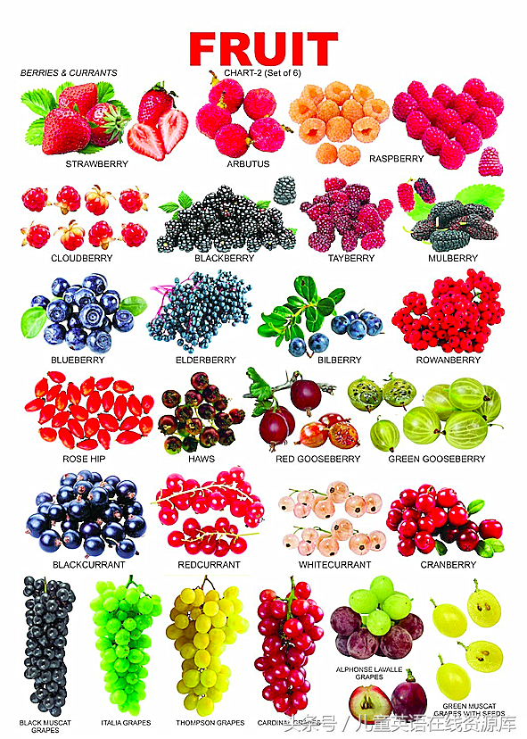 水果英文名字大全，2018年台风名字大全（史上最全水果英文名称汇总及配图）