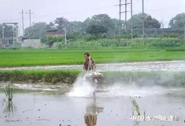 石灰粉的作用和功效，生石灰粉的作用和功效（生石灰在水产养殖中的应用）