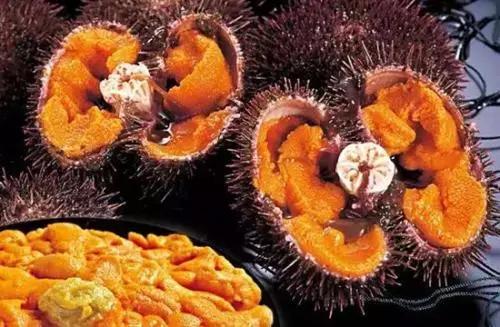 猪生肠是什么部位，生肠是哪个部位（知道了它们是啥后，你还敢吃嘛）